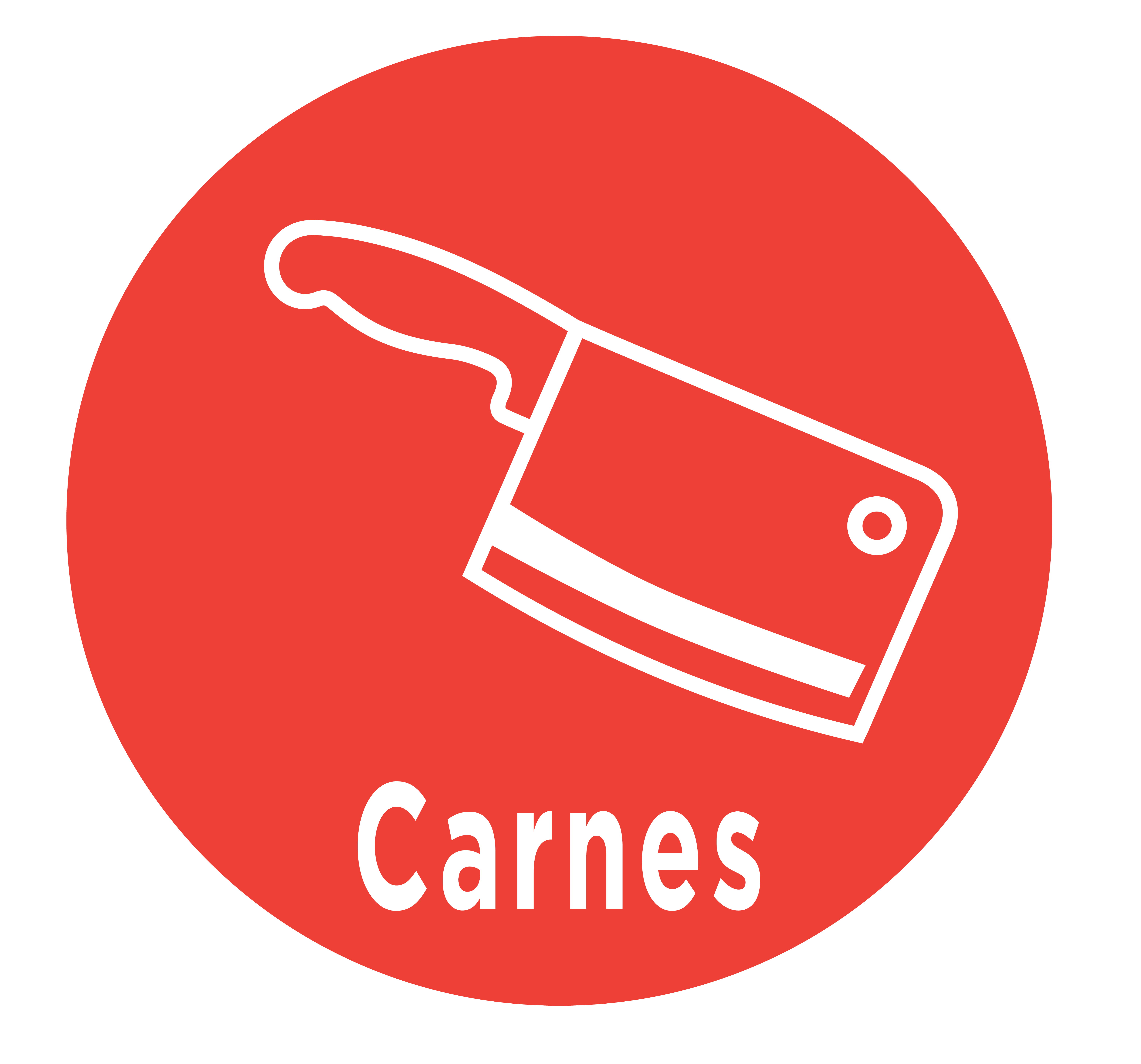 Carnes