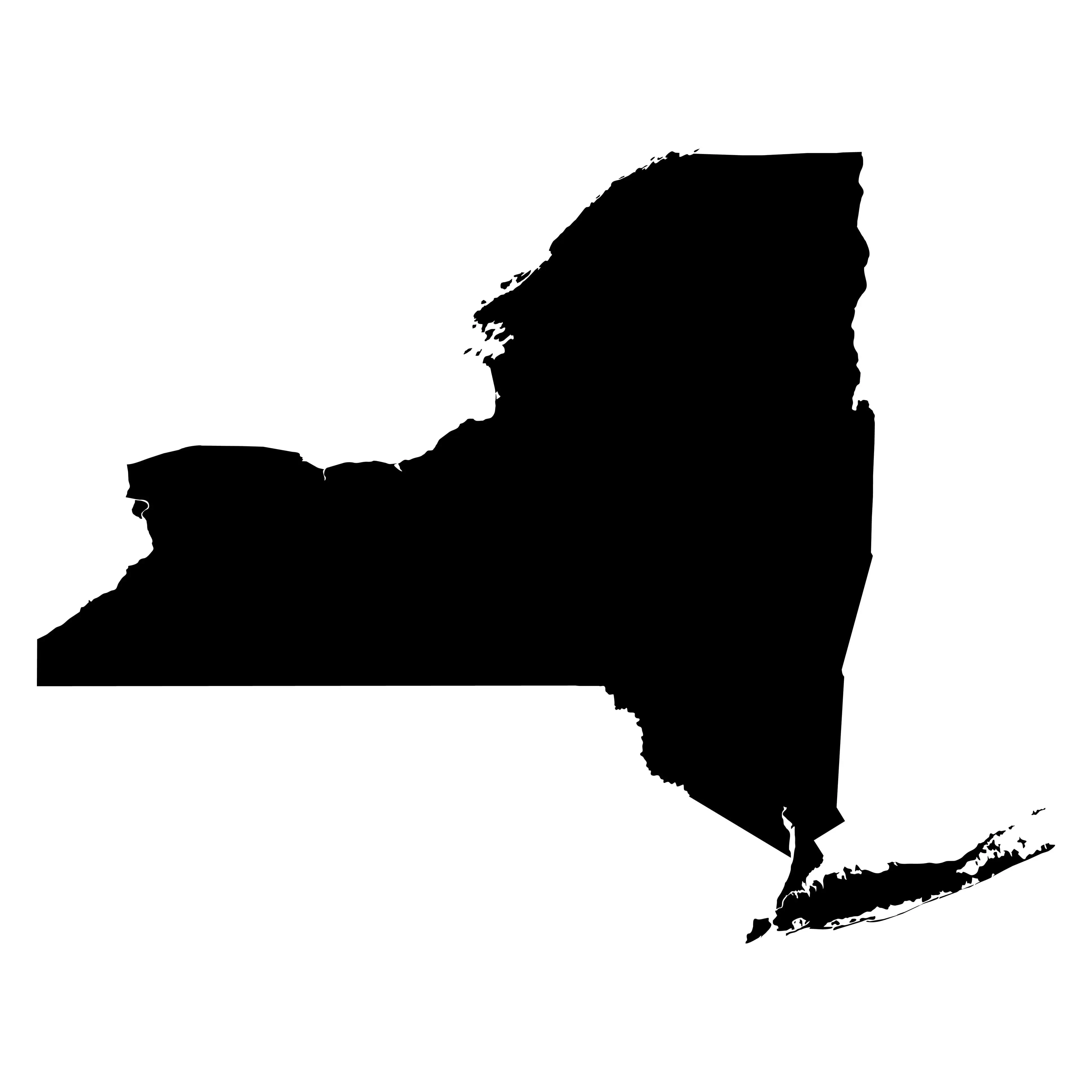 New_York_State_Image